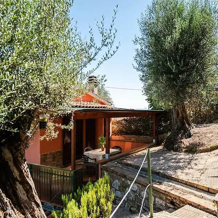 펜션 Lago Trasimeno 15 Min. Casa Con A/c E Wi-fi Agello